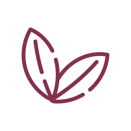 Tisanes et infusions